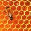 Мумие, мёд и другие продукты пчеловодства в народной медицине
